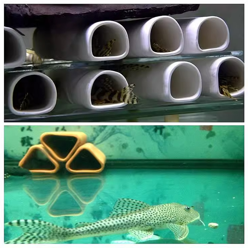 For Fish Shrimp Fish Tank Deco - Marine Aquarium For Sale ulasan dan harga