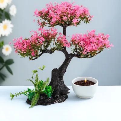Artificial Plants Indoor Aquar - Marine Aquarium For Sale ulasan dan harga