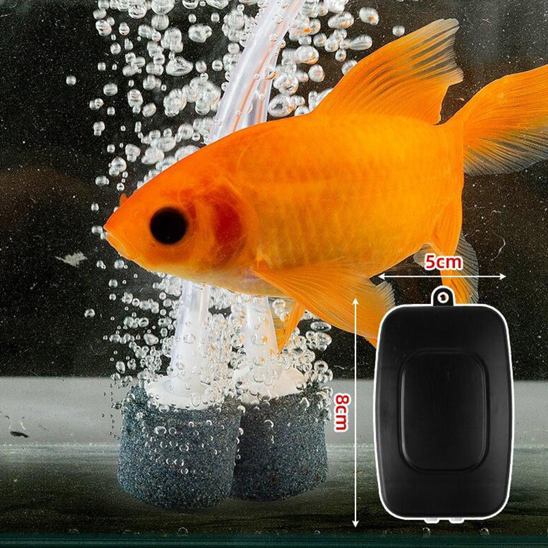 Mini Aquarium Air Pump Kit Oxy - Aquarium Marine Stone ulasan dan harga