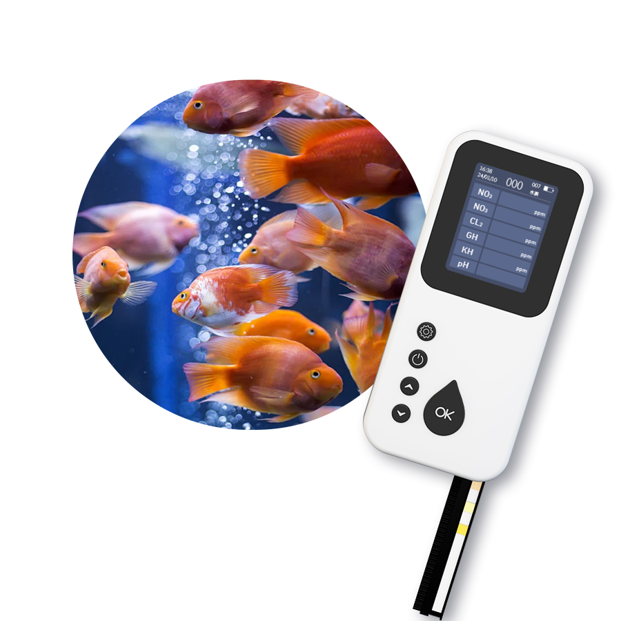 Portable TS-1000 Digital Water - Aquarium & Marine Museum Universiti Malaysia Sabah Kota Kinabalu Sabah Reviews ulasan dan harga
