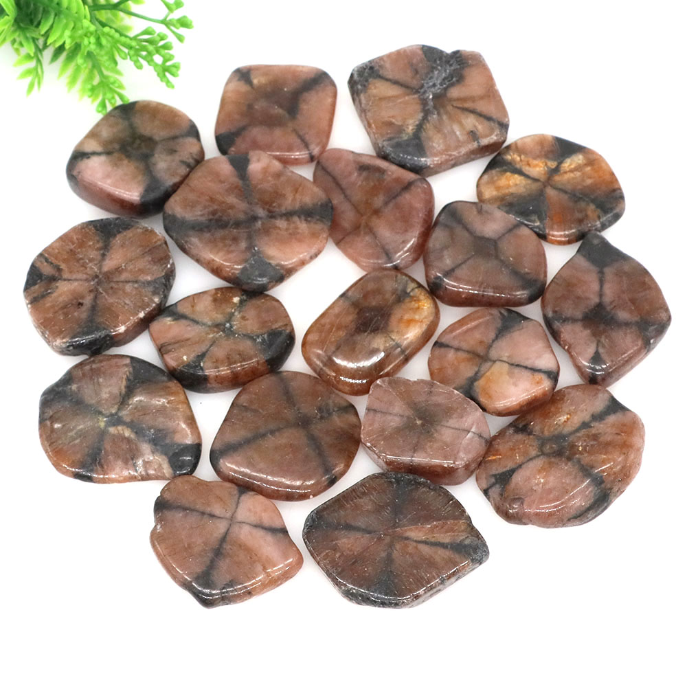 Natural Cross Chiastolite Quar - Aquarium Marine Stone ulasan dan harga
