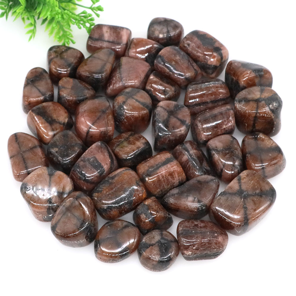 Natural Cross Chiastolite Quar - Aquarium Marine Stone ulasan dan harga