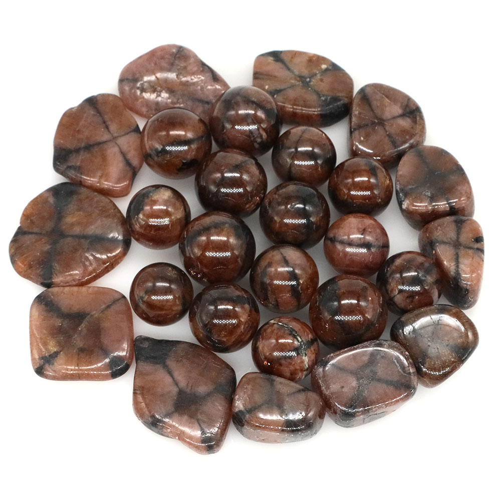 Natural Cross Chiastolite Quar - Aquarium Marine Stone ulasan dan harga