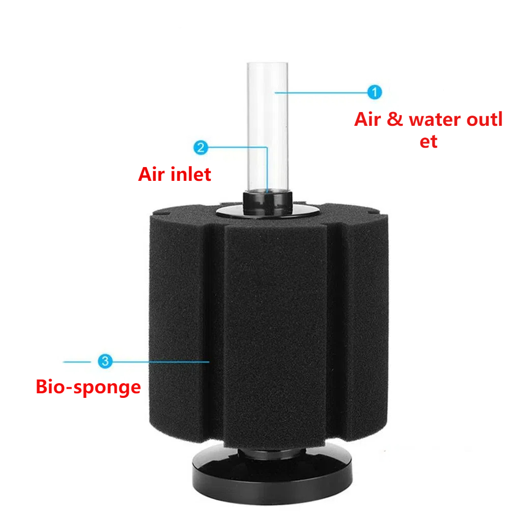 Aquarium Filter Sponge For Fis - Marine Aquarium Overflow ulasan dan harga