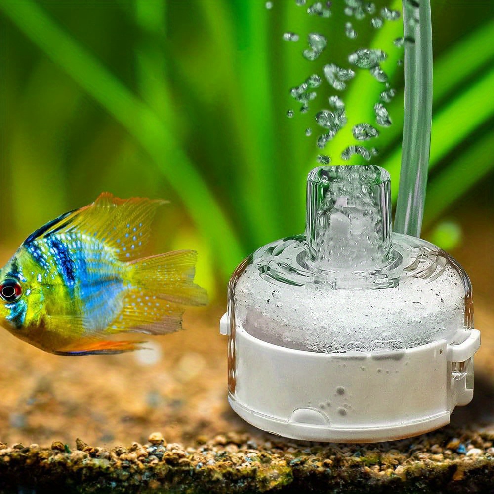 Small Ultra Thin Aquarium Filt - Marine Aquarium Overflow ulasan dan harga