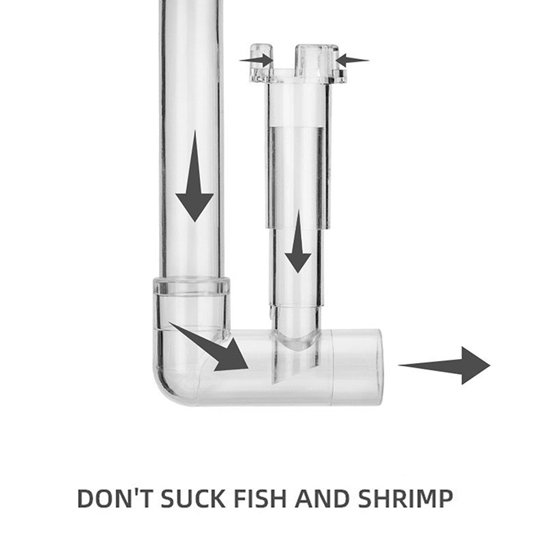 Aquarium Lily Pipe Outflow Out - Marine Aquarium For Sale ulasan dan harga