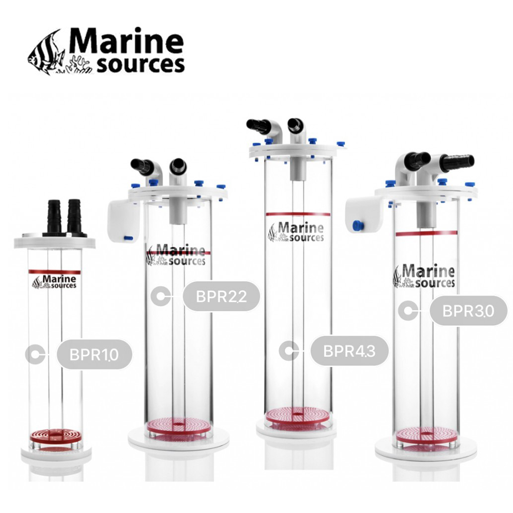 Marine Source Sea Water Coral  - Marine Aquarium Reactors ulasan dan harga