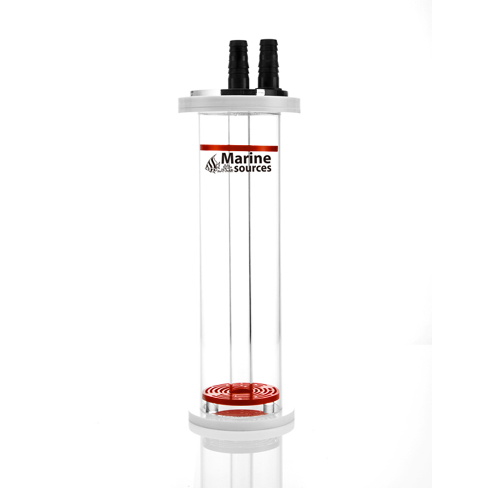 Marine Source Sea Water Coral  - Marine Aquarium Reactors ulasan dan harga