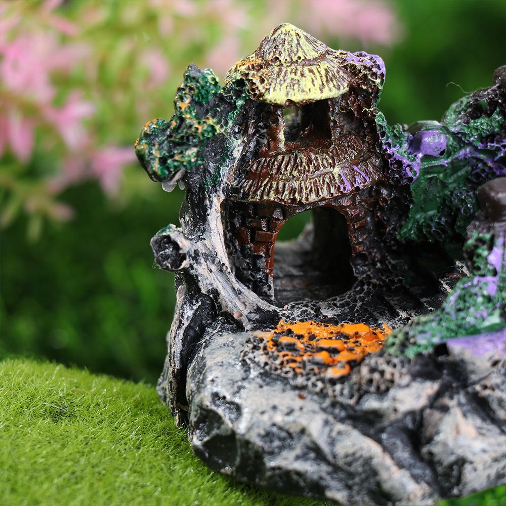 Aquarium Accessories Arbor Tre - Marine Aquarium For Sale ulasan dan harga