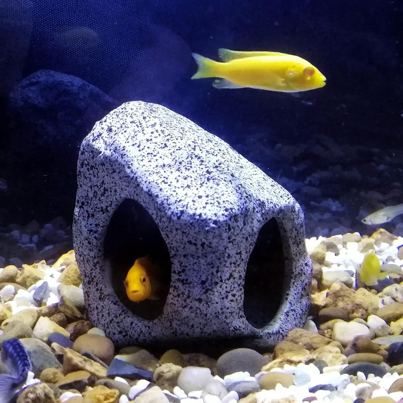 Fish Tank Cave Stone Landscapi - Marine Aquarium For Sale ulasan dan harga