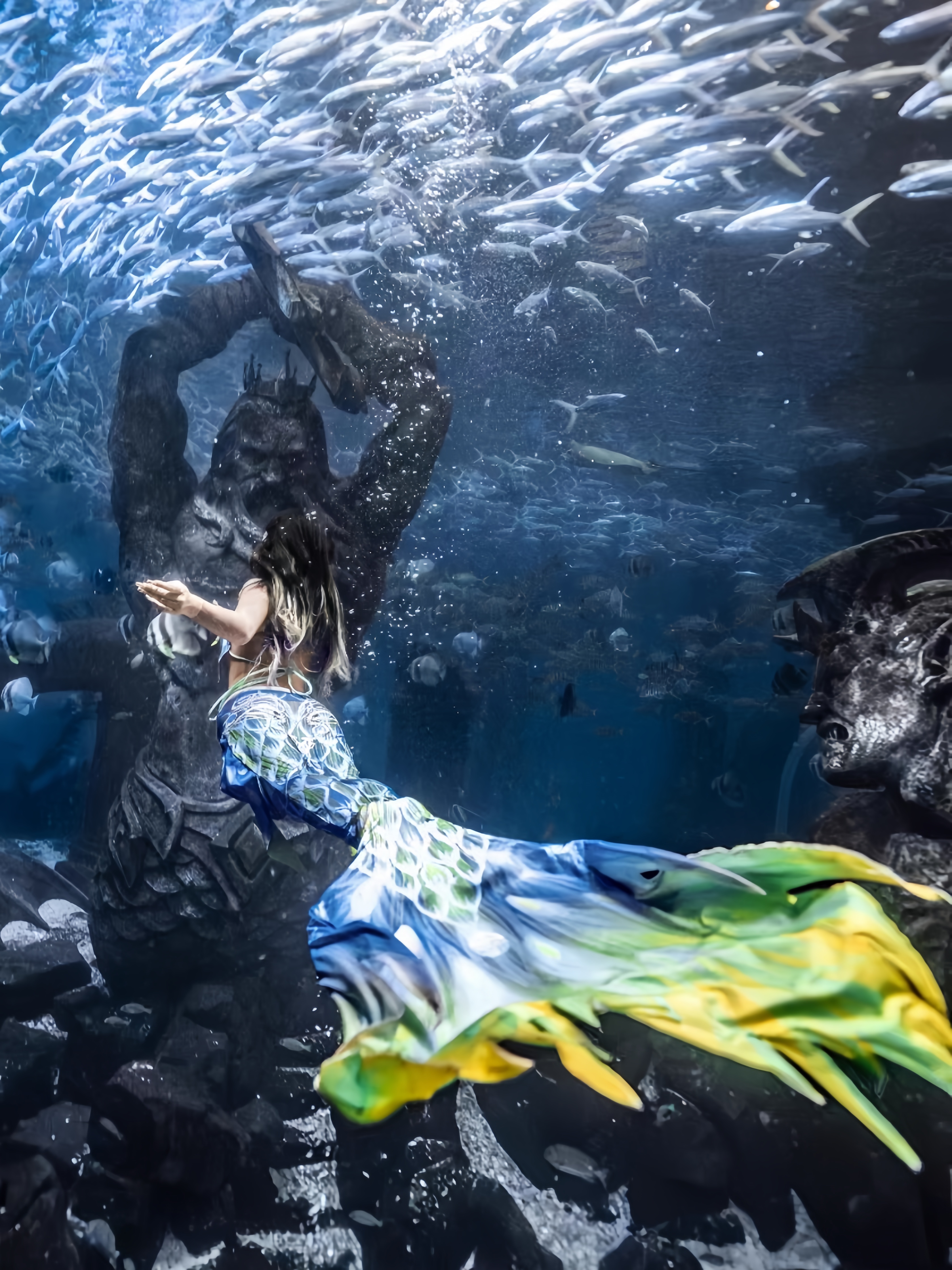 Mermaid Tail Adult Ladies Swim - Aquarium & Marine Museum Universiti Malaysia Sabah Kota Kinabalu Sabah Reviews ulasan dan harga