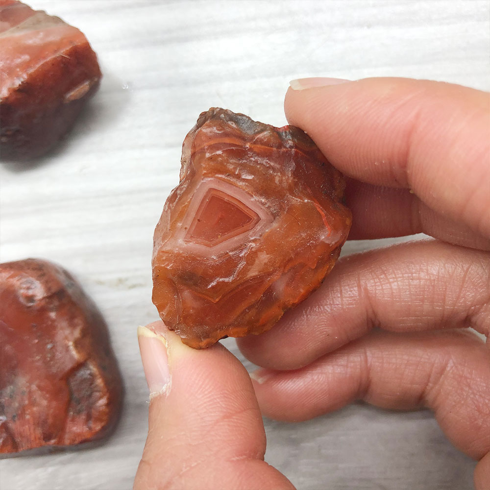 1pc Random Rough Raw Carnelian - Aquarium Marine Stone ulasan dan harga