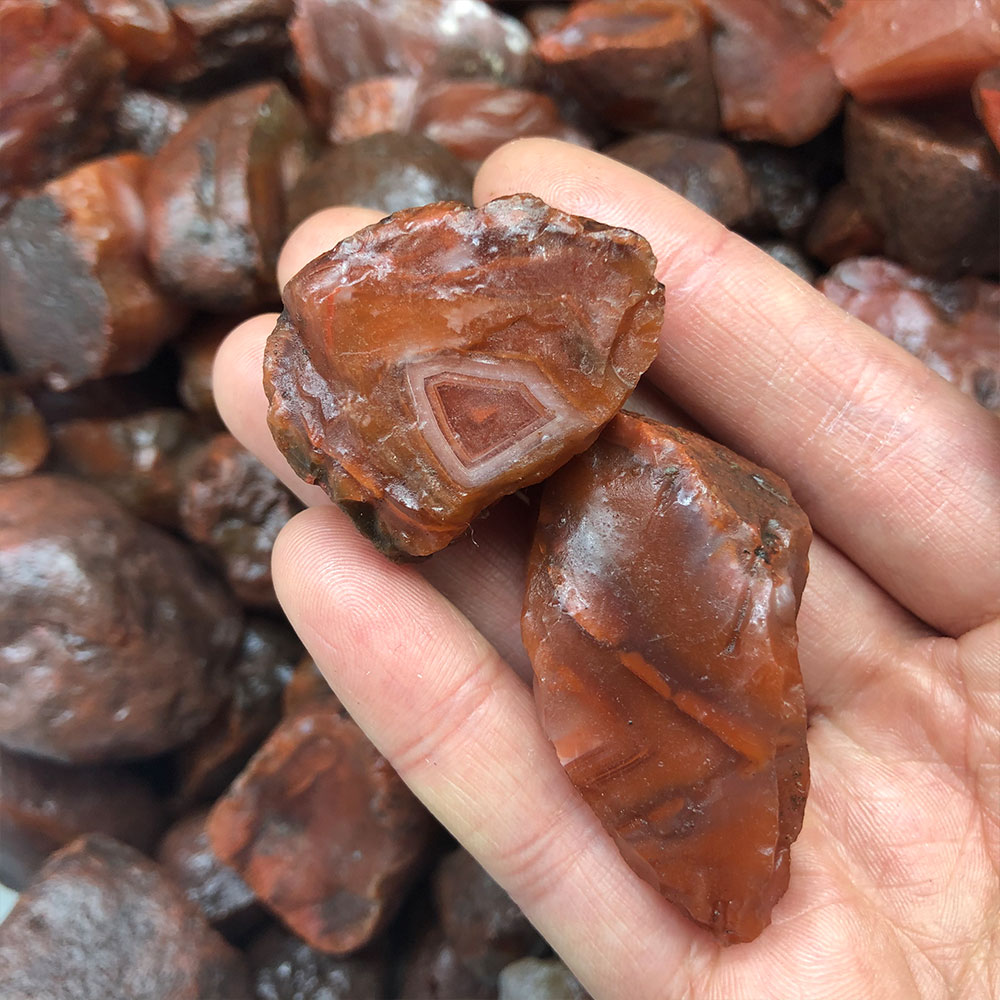 1pc Random Rough Raw Carnelian - Aquarium Marine Stone ulasan dan harga