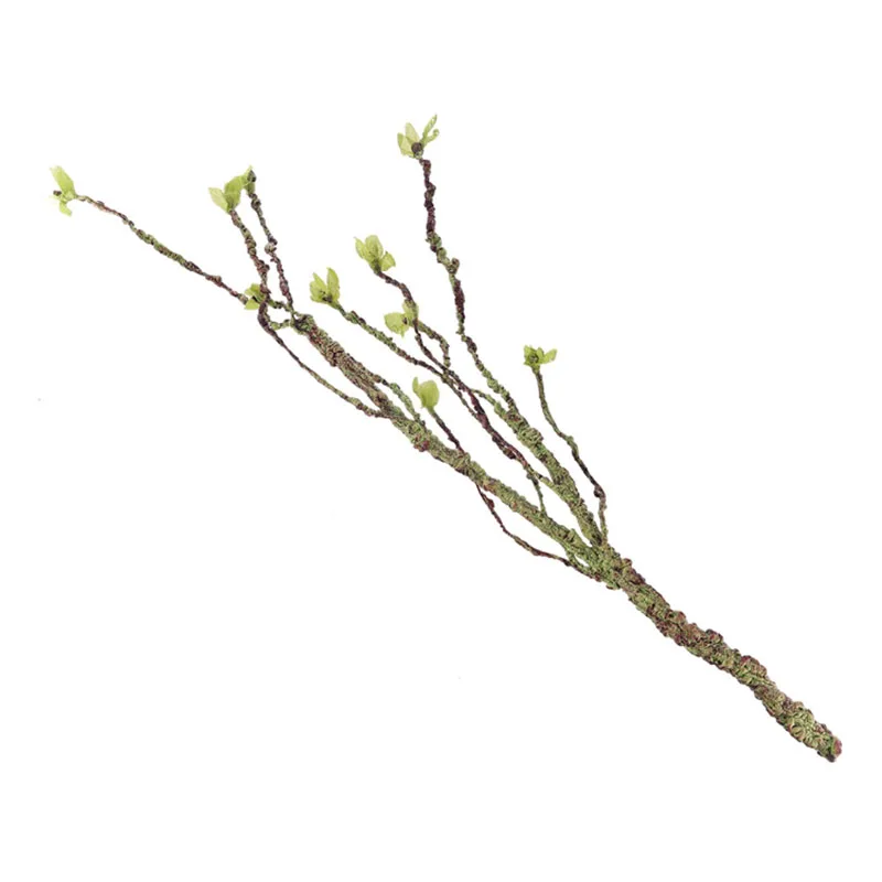 Vines Decor Climbing Branches  - Marine Aquarium For Sale ulasan dan harga