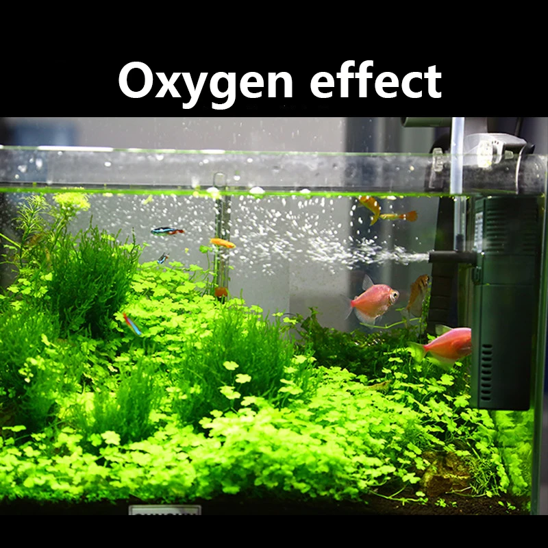 SUNSUN mini nano 111B 311B 611 - Marine Aquarium Reactors ulasan dan harga