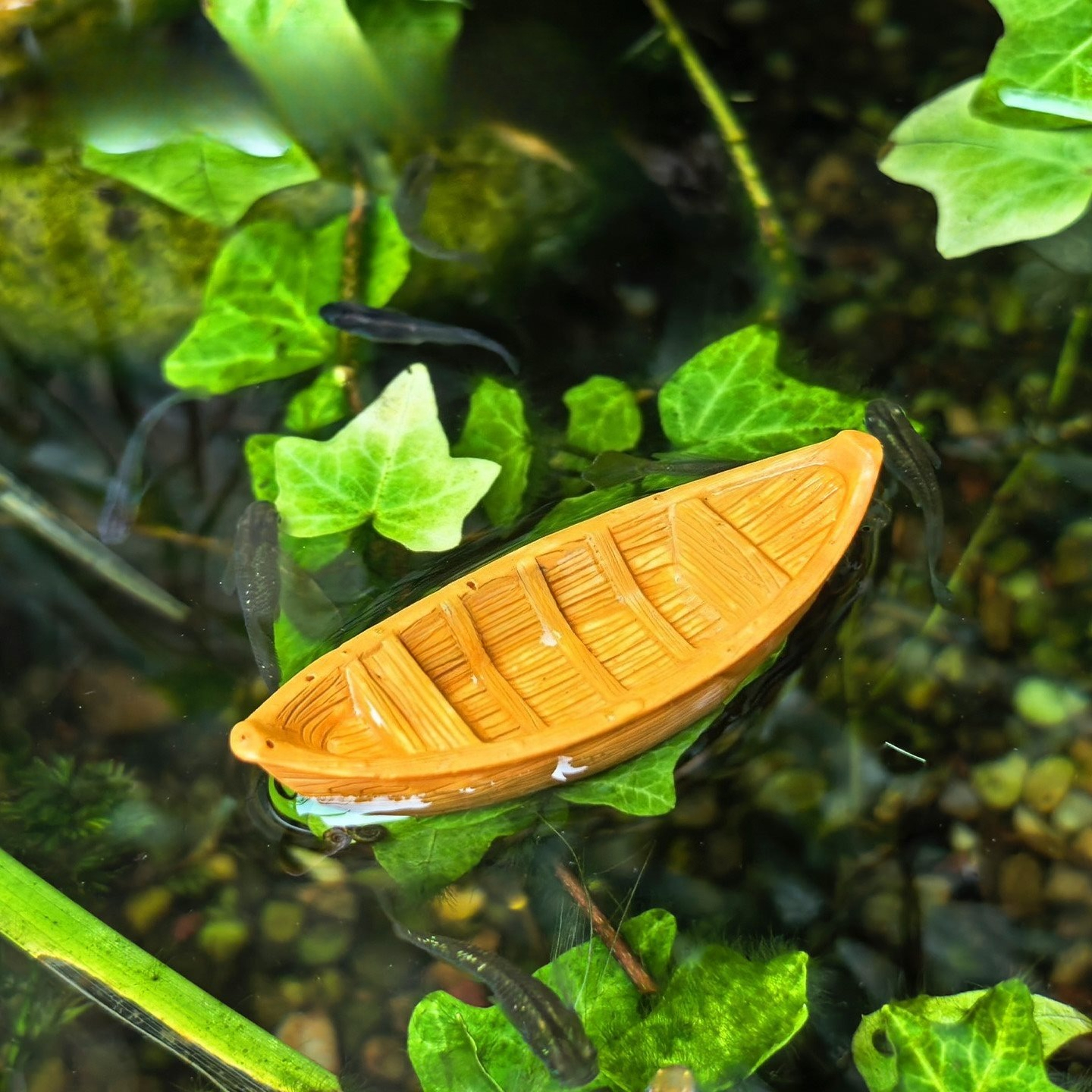 Simulation Floating Mini Boat  - Aquarium Marina ulasan dan harga